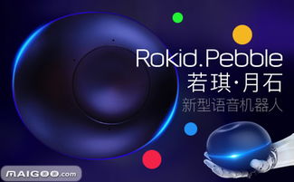 Rokid家庭智能機器人 AI賦能美好生活的創(chuàng)新先鋒